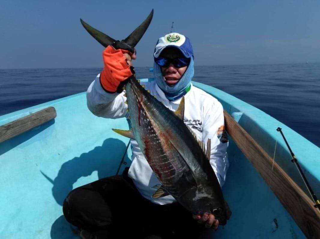 Atún aleta amarilla en cubierta