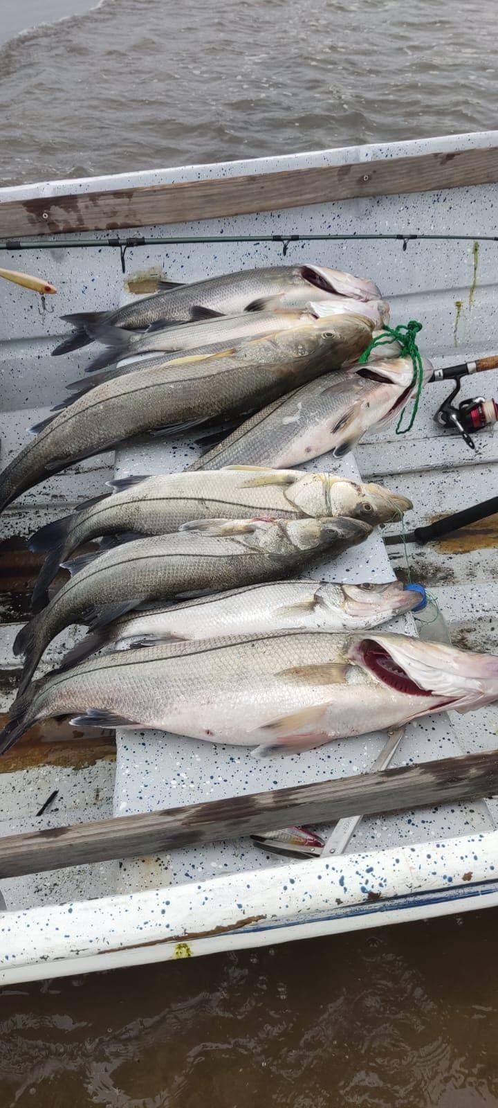 Pescador con dorado capturado en Costa del Sol